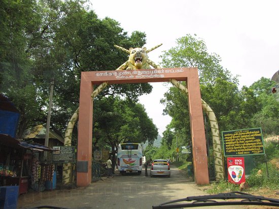 Agasthiyar Falls (Papanasam Falls) Pravin Travels