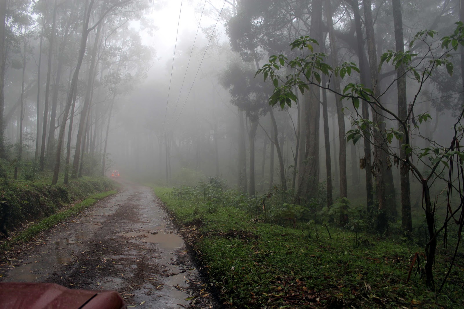 Manjolai Hills Tirunelveli Pravin Travels