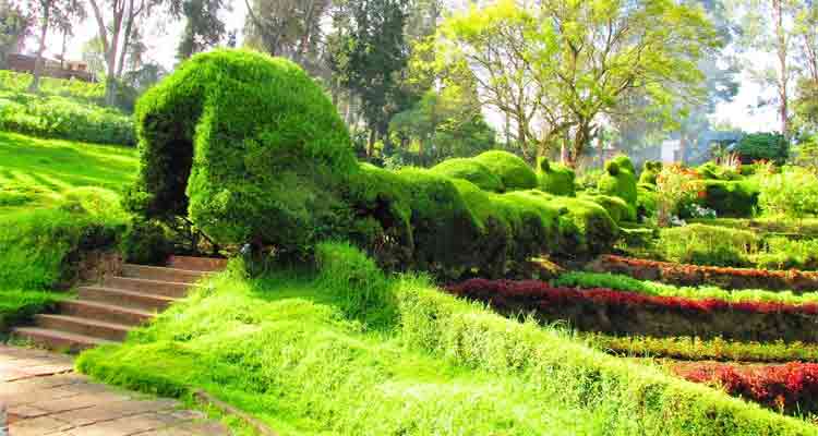 Chettiar Park Pravin Travels