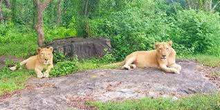 Neyyar Dam & Wildlife Sanctuary Pravin Travels